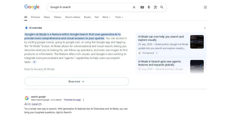 Google has rolled out AI Overviews – a feature that uses artificial intelligence to provide users with quick answers at the top of search results. For bloggers, this means both challenges and new opportunities.